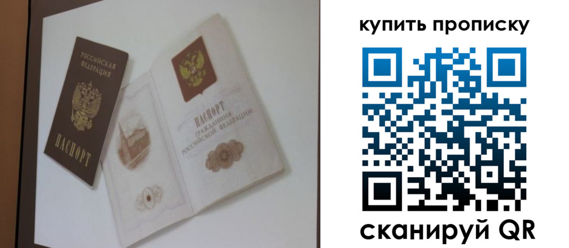 где прописаться в Липецкая области